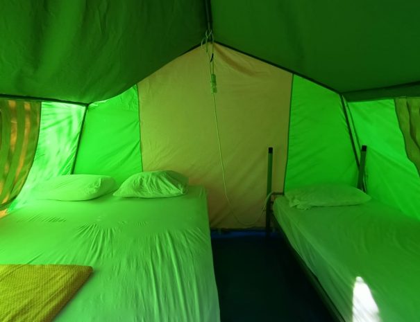 WhatsApp Image 2021-06-28 at 22.30.47 (2)